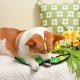 HugSmart Pet - Squeakin’ Vegetables | Pickle - Dog Plush Toy