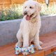 Party Time Bone Blue For Dogs LG