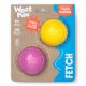 Boundr® 2-Pack Dog Toy Ball for Play, Chew, and Fetch Aqua Dandelion