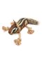 Roper Prairie Chipmunk