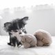 WHOLESALE GUU//OAT//NOSEWORK MUSHROOM//ENRICHMENT DOG TOY Medium