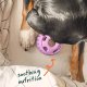 Calming Wellness Pops Large