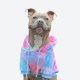 Velvet Dog Hoodie - Snow Cone 4XL