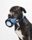 Tennis Tumble Interactive Dog Toy Lilac