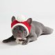 Knit Pom Pom Dog Beanie Hat - Santa S (10-15lbs/4.5-7kg)