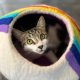 Rainbow Eco Kitty Cave - Cat Cave With Bag