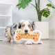 Cookie Tester Bone For Dogs Small