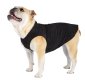 Stretch Fleece Sizes 14-30 Gold Buffalo Check
