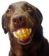 Humunga Bling - Durable Rubber Pet Chew Toy for Dogs Mini