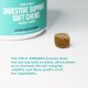 The Only Digestive Support Soft Chews Dogs Need 12 count pouch