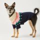 Fair Isle Bobble Holiday Dog Sweater XS