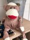 Stuey Sock Monkey Knottie®  Plush Dog Toy Small