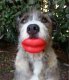 Humunga Lips Standard