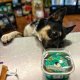 Hey Don't Forget the Cat Treats & Cakes Dipped Bison Liver 3 pk