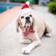 H&K Hat Santa with SnugFit® LG
