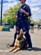 USA-K9 Magnum Grenade - Chew Toy - Reward Toy - Black Medium