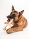 BetterBone HARD -Durable, All-Natural, No Nylon, Sustainable Beef