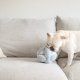 WHOLESALE MONTI//ENRICHMENT DOG TOY Oat