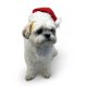 Santa Hat XS