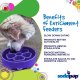 Flower Design eBowl Enrichment Slow Feeder Bowl for Dogs Purple