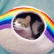 Rainbow Eco Kitty Cave - Cat Cave With Bag