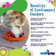 Yin Yang Design Shallow eTray Enrichment Slow Feeder Tray for Dogs Green