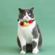 Chrismoo - Christmas Collar for Cats & Dogs Tree