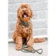 Olive Marine Rope Dog Leash 5 feet