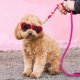 Hot Pink Marine Rope Dog Leash Petite 5 feet