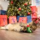 Good/Bad Kitty Stocking For Cats