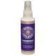 Buddy Biscuits Buddy Splash Lavender & Mint Spritzer & Conditioner 16oz