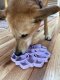 Mandala "Softie" eTray Enrichment Tray for Dogs Light Green