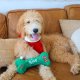 Naughty Nice Bone For Dogs JUMBO