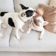 WHOLESALE SQUIRREL POP//ENRICHMENT DOG TOY M