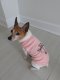 Birthday Girl Dog T-Shirt L