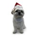 Santa Hat XS