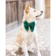 Forest Green Velvet Holiday Lady Dog Bow Large