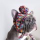 Knit Pom Pom Dog Beanie Hat - Kaleidoscope L (45-100lbs/20-50kg)