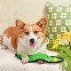 HugSmart Pet - Squeakin’ Vegetables | Pickle - Dog Plush Toy