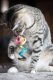 Spring Eco Toy Rainbow