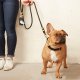 Onyx Marine Rope Dog Leash Petite 5 feet