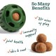 All-in-1 Wellness Pops Extra Large
