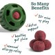 Allergy & Immunity Wellness Pops Extra Large