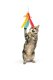 Teaser Treatos Snacks Wand For Cats