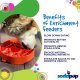 Great Outdoors Design eBowl Enrichment Slow Feeder Bowl for Orange