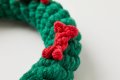 Green Ring with Red Bones Dog Rope Toy (Small - 4")