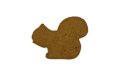 Display Crate REFILL, Cookies - Pumpkin Squash Squirrel
