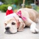 H&K Hat Santa with SnugFit® LG