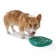 Bubbles Feast Mat Tropic Red