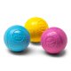 Boundr® 2-Pack Dog Toy Ball for Play, Chew, and Fetch Aqua Dandelion